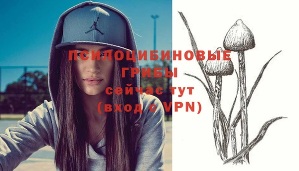 амф Алзамай